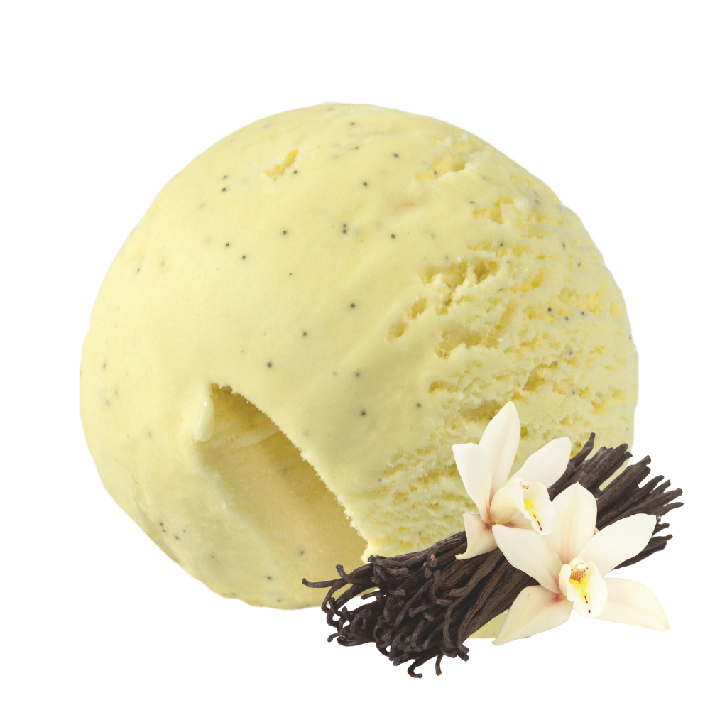 glace vanille bourbon de madagascar - glaces de lyon - made in france