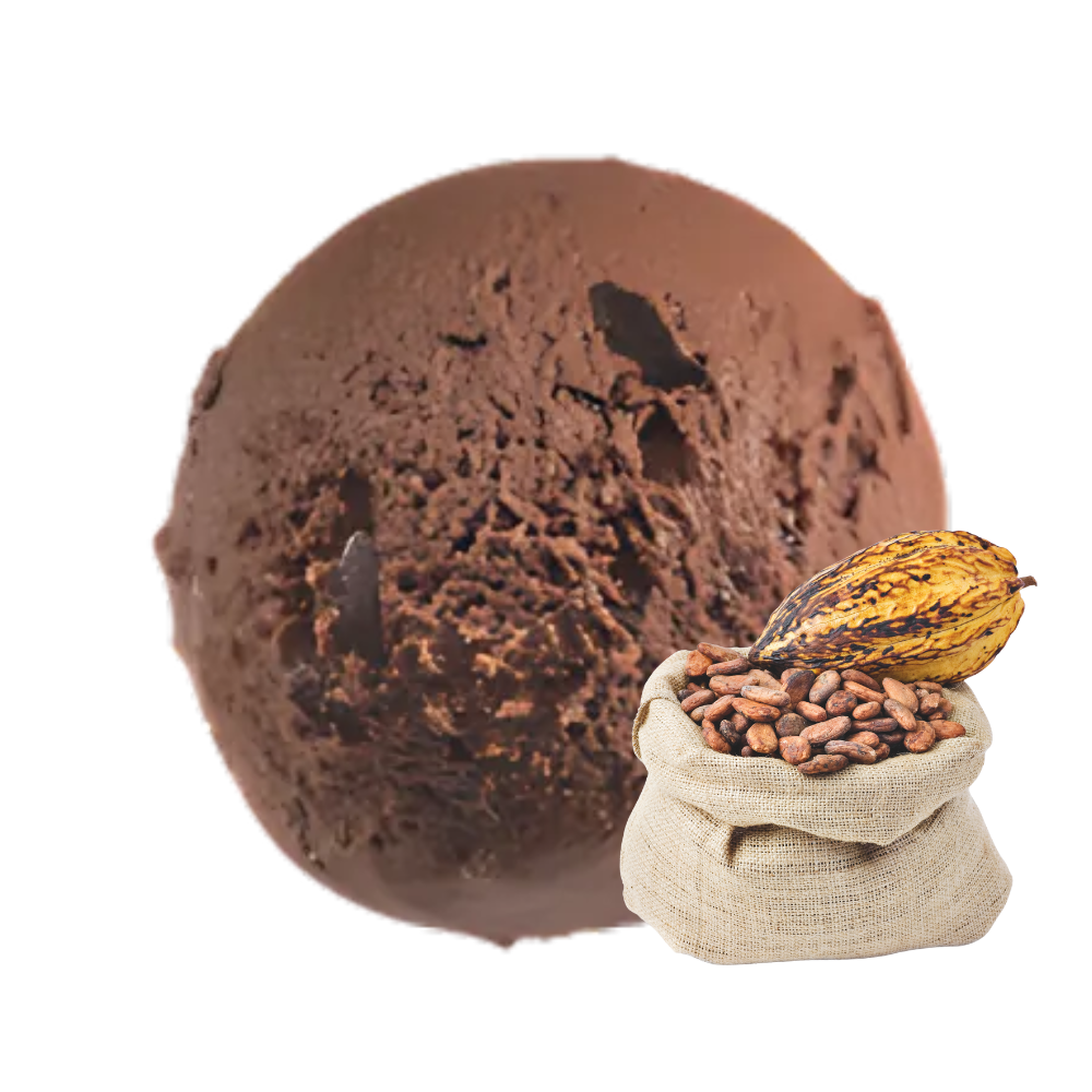 glace chocolat noir de tanzanie et ses copeaux - glaces de lyon - made in france