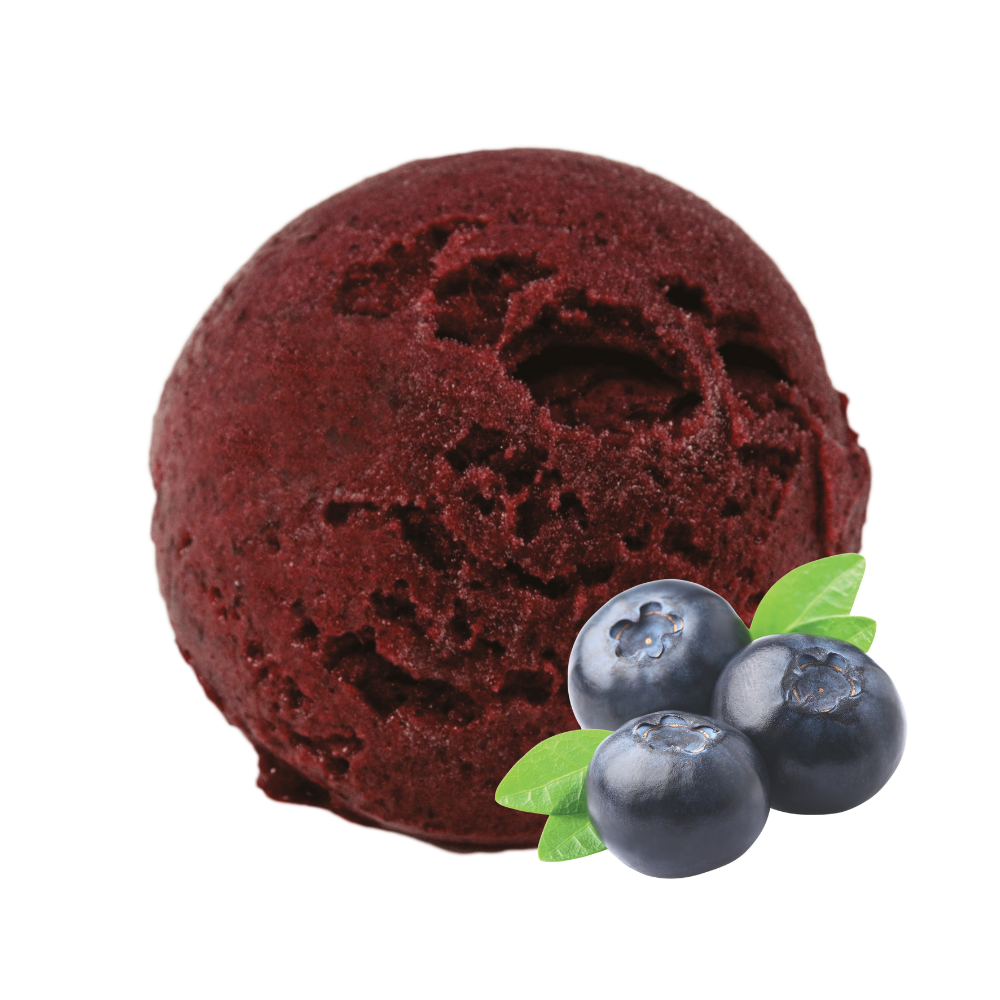 Glace de Lyon - boule de glaces - parfum Myrtille sauvage - glace myrtille - glace fabriquée en France - crème glacée - glace artisanale - made in France - sorbet aux fruits - sorbet plein fruits - glace au fruits