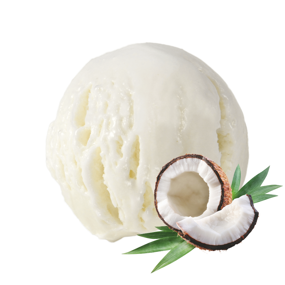 Glace de Lyon - boule de glaces - parfum noix de coco du sri lanka - glace noix de coco - glace fabriquée en France - crème glacée - glace artisanale - made in France - sorbet aux fruits - sorbet plein fruits - glace au fruits